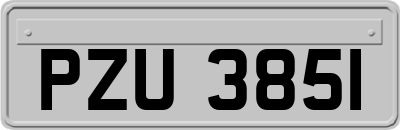 PZU3851