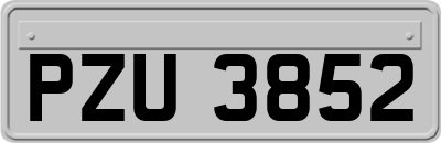 PZU3852