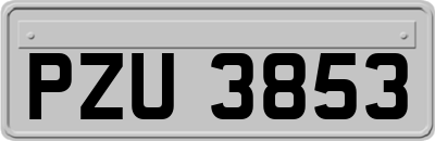 PZU3853