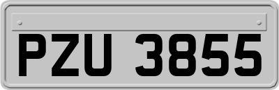 PZU3855