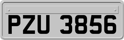 PZU3856