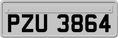 PZU3864