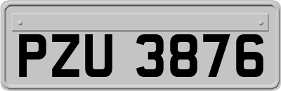 PZU3876