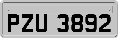 PZU3892