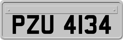 PZU4134