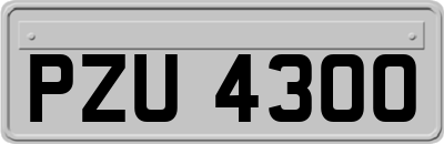 PZU4300