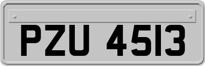 PZU4513