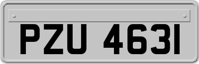 PZU4631