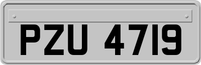 PZU4719