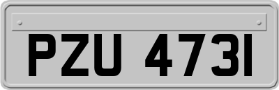 PZU4731