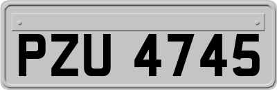 PZU4745