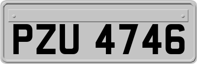 PZU4746