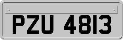 PZU4813