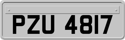 PZU4817