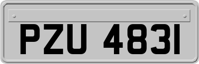 PZU4831