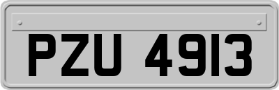 PZU4913