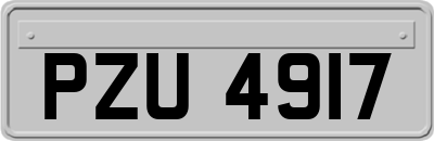 PZU4917