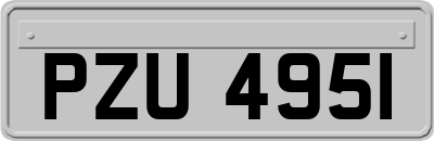 PZU4951