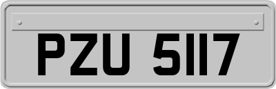 PZU5117