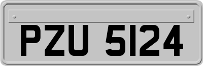 PZU5124