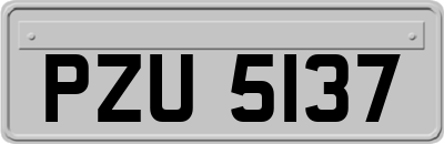 PZU5137