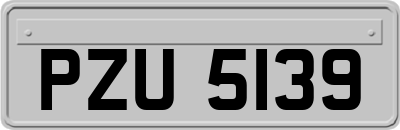 PZU5139