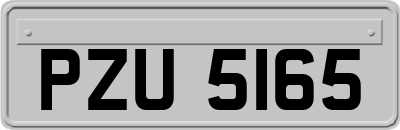 PZU5165