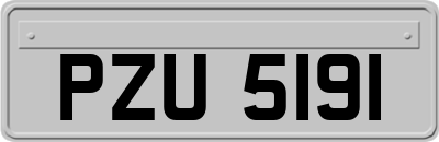 PZU5191