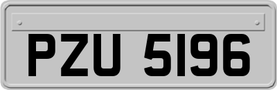 PZU5196