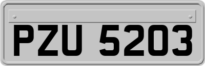 PZU5203