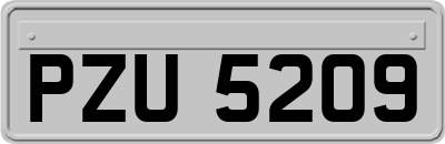 PZU5209