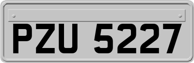 PZU5227