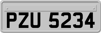 PZU5234