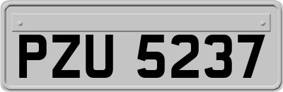 PZU5237