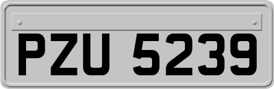 PZU5239