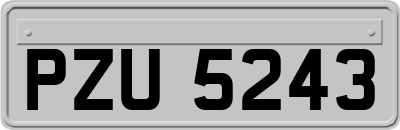 PZU5243