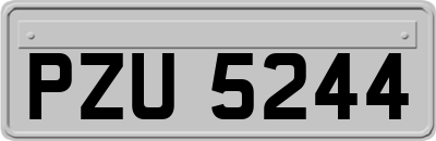 PZU5244