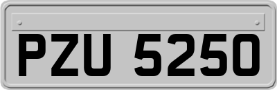 PZU5250