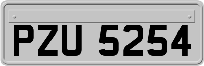 PZU5254