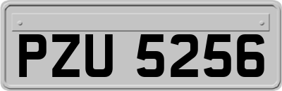 PZU5256