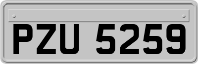 PZU5259