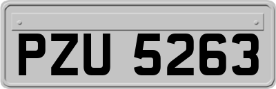 PZU5263