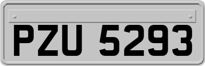 PZU5293