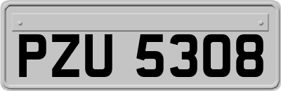 PZU5308