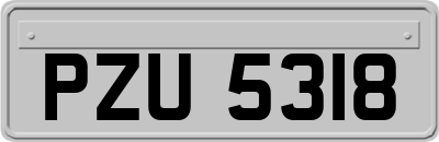 PZU5318