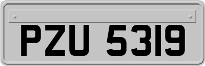 PZU5319