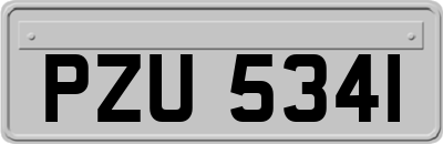 PZU5341