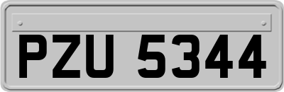 PZU5344