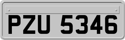 PZU5346