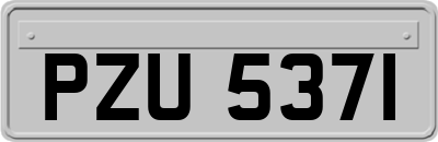 PZU5371